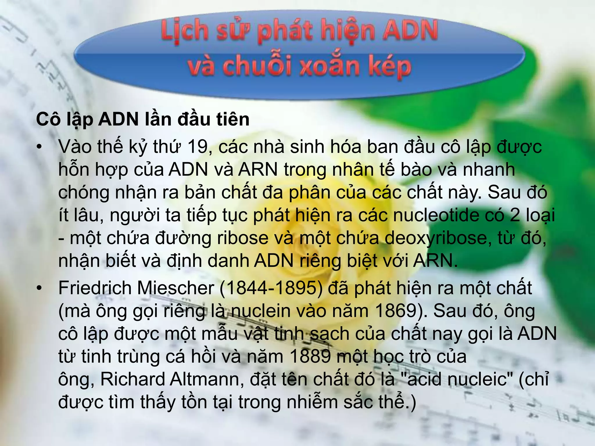 Cô lập ADN lần đầu tiên
• Vào thế kỷ thứ 19, các nhà sinh hóa ban đầu cô lập được
  hỗn hợp của ADN và ARN trong nhân tế bào và nhanh
  chóng nhận ra bản chất đa phân của các chất này. Sau đó
  ít lâu, người ta tiếp tục phát hiện ra các nucleotide có 2 loại
  - một chứa đường ribose và một chứa deoxyribose, từ đó,
  nhận biết và định danh ADN riêng biệt với ARN.
• Friedrich Miescher (1844-1895) đã phát hiện ra một chất
  (mà ông gọi riêng là nuclein vào năm 1869). Sau đó, ông
  cô lập được một mẫu vật tinh sạch của chất nay gọi là ADN
  từ tinh trùng cá hồi và năm 1889 một học trò của
  ông, Richard Altmann, đặt tên chất đó là "acid nucleic" (chỉ
  được tìm thấy tồn tại trong nhiễm sắc thể.)
 