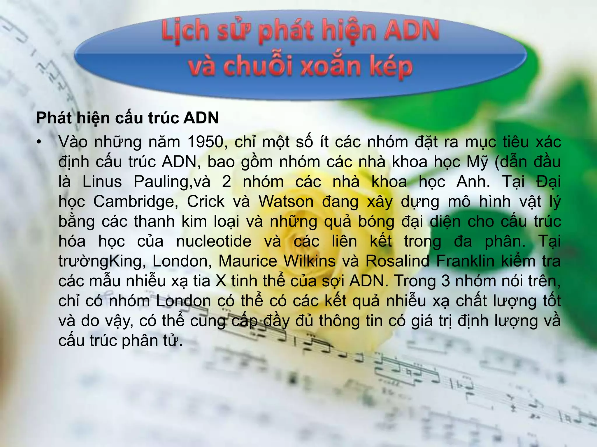 Phát hiện cấu trúc ADN
• Vào những năm 1950, chỉ một số ít các nhóm đặt ra mục tiêu xác
  định cấu trúc ADN, bao gồm nhóm các nhà khoa học Mỹ (dẫn đầu
  là Linus Pauling,và 2 nhóm các nhà khoa học Anh. Tại Đại
  học Cambridge, Crick và Watson đang xây dựng mô hình vật lý
  bằng các thanh kim loại và những quả bóng đại diện cho cấu trúc
  hóa học của nucleotide và các liên kết trong đa phân. Tại
  trườngKing, London, Maurice Wilkins và Rosalind Franklin kiểm tra
  các mẫu nhiễu xạ tia X tinh thể của sợi ADN. Trong 3 nhóm nói trên,
  chỉ có nhóm London có thể có các kết quả nhiễu xạ chất lượng tốt
  và do vậy, có thể cung cấp đầy đủ thông tin có giá trị định lượng vầ
  cấu trúc phân tử.
 