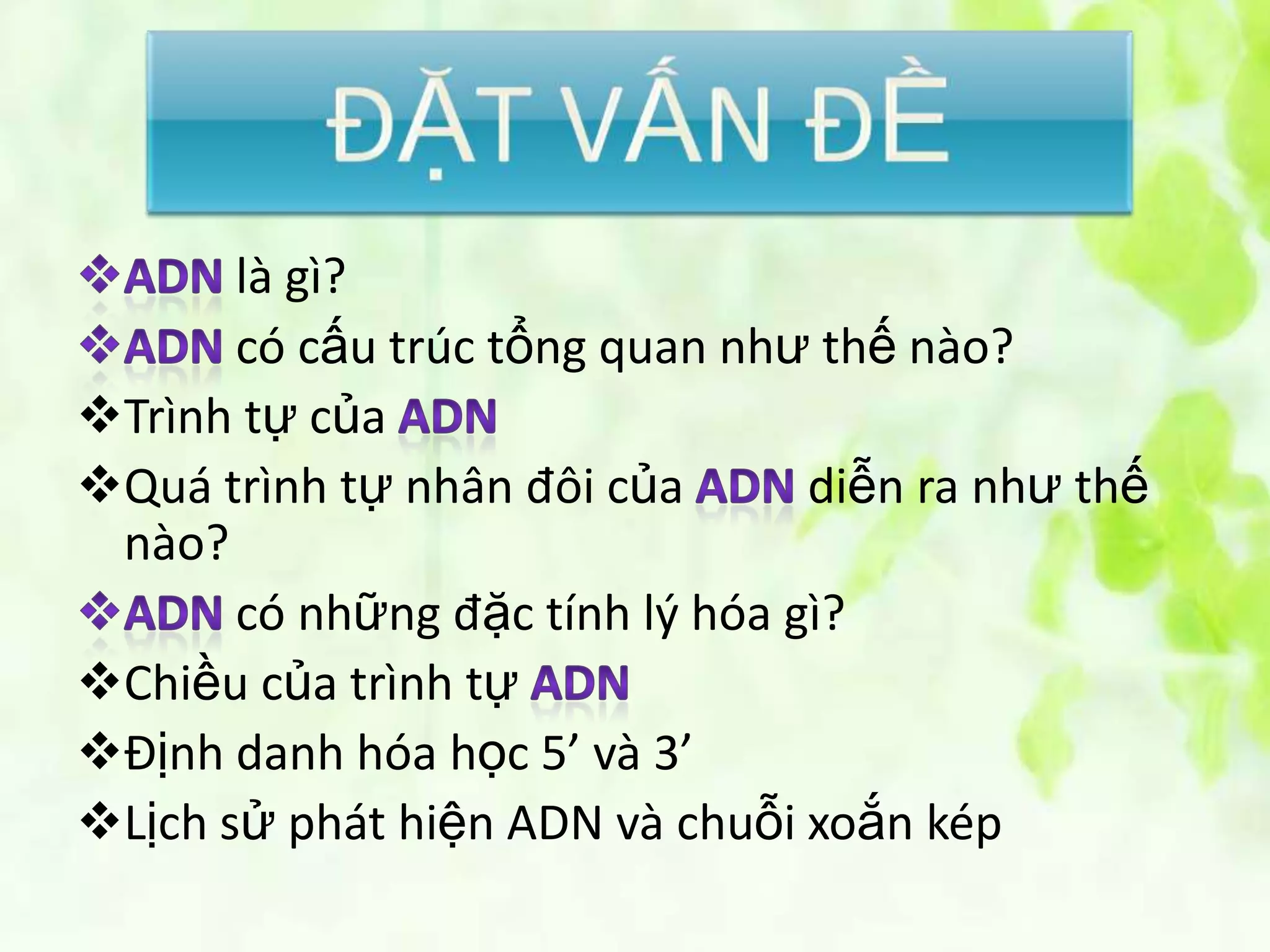 là gì?
       có cấu trúc tổng quan như thế nào?
Trình tự của
Quá trình tự nhân đôi của       diễn ra như thế
 nào?
       có những đặc tính lý hóa gì?
Chiều của trình tự
Định danh hóa học 5’ và 3’
Lịch sử phát hiện ADN và chuỗi xoắn kép
 