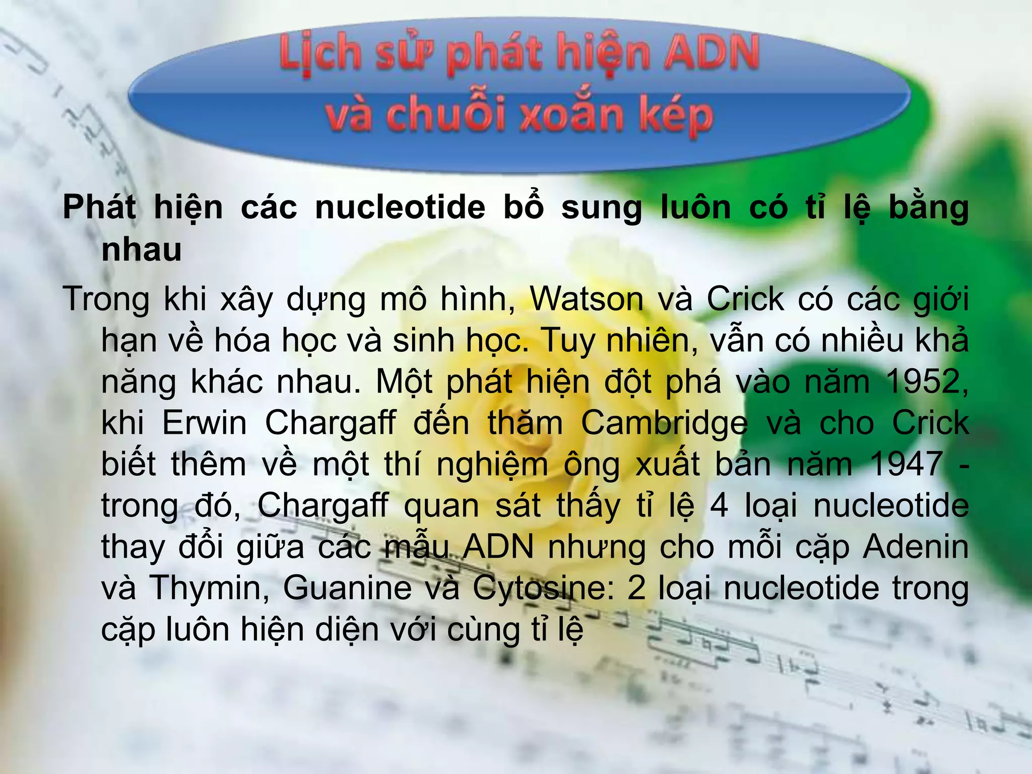 Phát hiện các nucleotide bổ sung luôn có tỉ lệ bằng
  nhau
Trong khi xây dựng mô hình, Watson và Crick có các giới
  hạn về hóa học và sinh học. Tuy nhiên, vẫn có nhiều khả
  năng khác nhau. Một phát hiện đột phá vào năm 1952,
  khi Erwin Chargaff đến thăm Cambridge và cho Crick
  biết thêm về một thí nghiệm ông xuất bản năm 1947 -
  trong đó, Chargaff quan sát thấy tỉ lệ 4 loại nucleotide
  thay đổi giữa các mẫu ADN nhưng cho mỗi cặp Adenin
  và Thymin, Guanine và Cytosine: 2 loại nucleotide trong
  cặp luôn hiện diện với cùng tỉ lệ
 