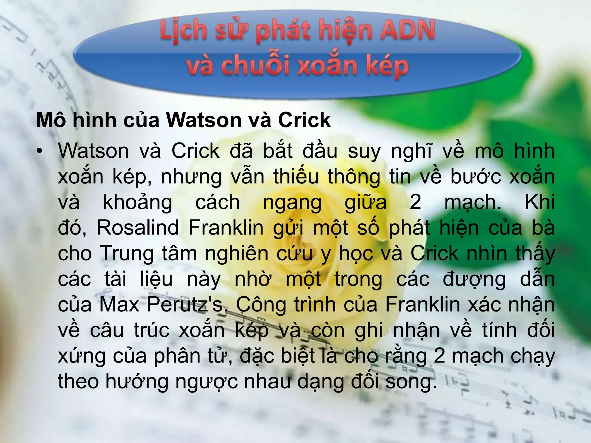 Mô hình của Watson và Crick
• Watson và Crick đã bắt đầu suy nghĩ về mô hình
  xoắn kép, nhưng vẫn thiếu thông tin về bước xoắn
  và khoảng cách ngang giữa 2 mạch. Khi
  đó, Rosalind Franklin gửi một số phát hiện của bà
  cho Trung tâm nghiên cứu y học và Crick nhìn thấy
  các tài liệu này nhờ một trong các đượng dẫn
  của Max Perutz's. Công trình của Franklin xác nhận
  về câu trúc xoắn kép và còn ghi nhận về tính đối
  xứng của phân tử, đặc biệt là cho rằng 2 mạch chạy
  theo hướng ngược nhau dạng đối song.
 