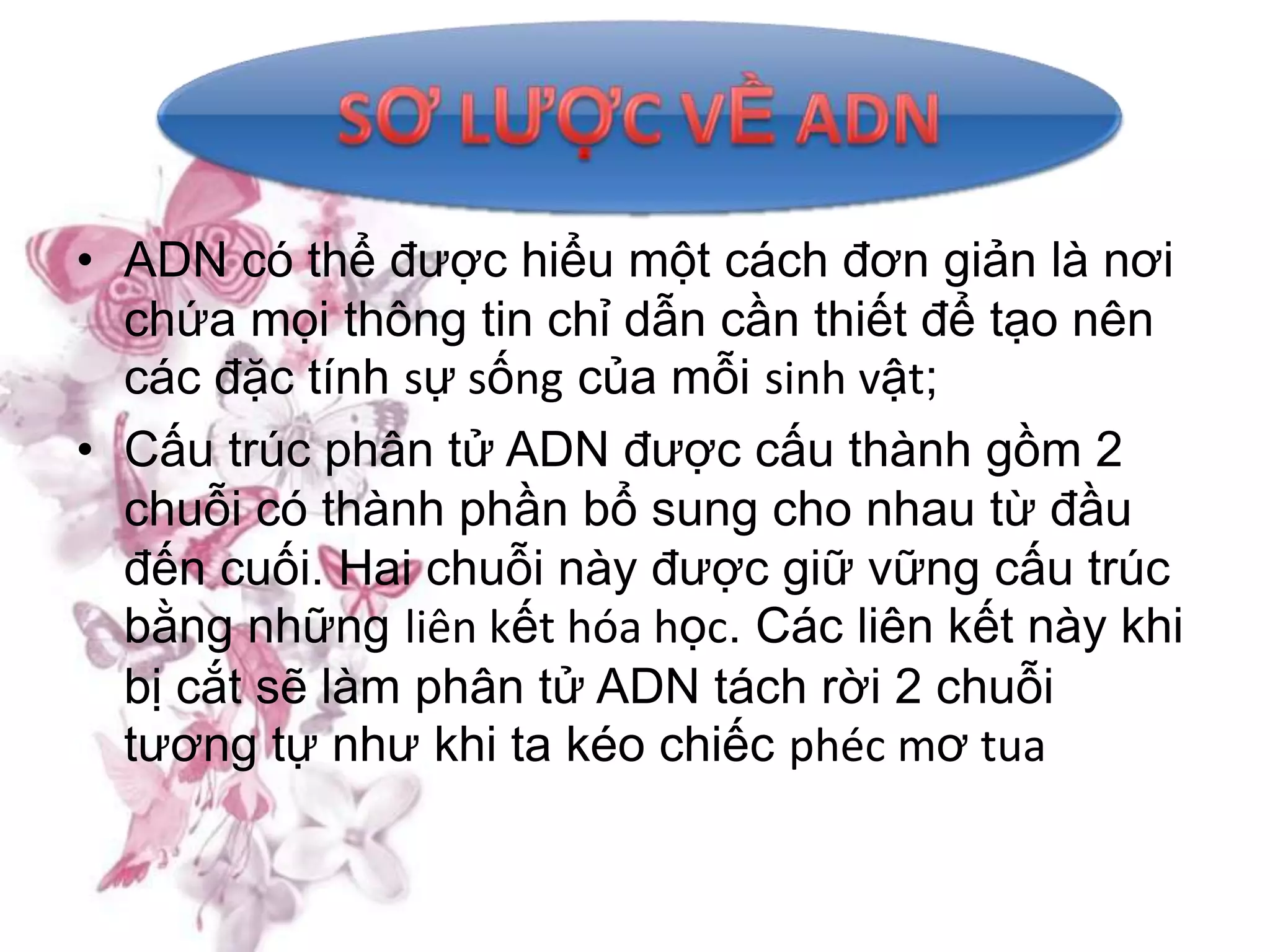 • ADN có thể được hiểu một cách đơn giản là nơi
  chứa mọi thông tin chỉ dẫn cần thiết để tạo nên
  các đặc tính sự sống của mỗi sinh vật;
• Cấu trúc phân tử ADN được cấu thành gồm 2
  chuỗi có thành phần bổ sung cho nhau từ đầu
  đến cuối. Hai chuỗi này được giữ vững cấu trúc
  bằng những liên kết hóa học. Các liên kết này khi
  bị cắt sẽ làm phân tử ADN tách rời 2 chuỗi
  tương tự như khi ta kéo chiếc phéc mơ tua
 