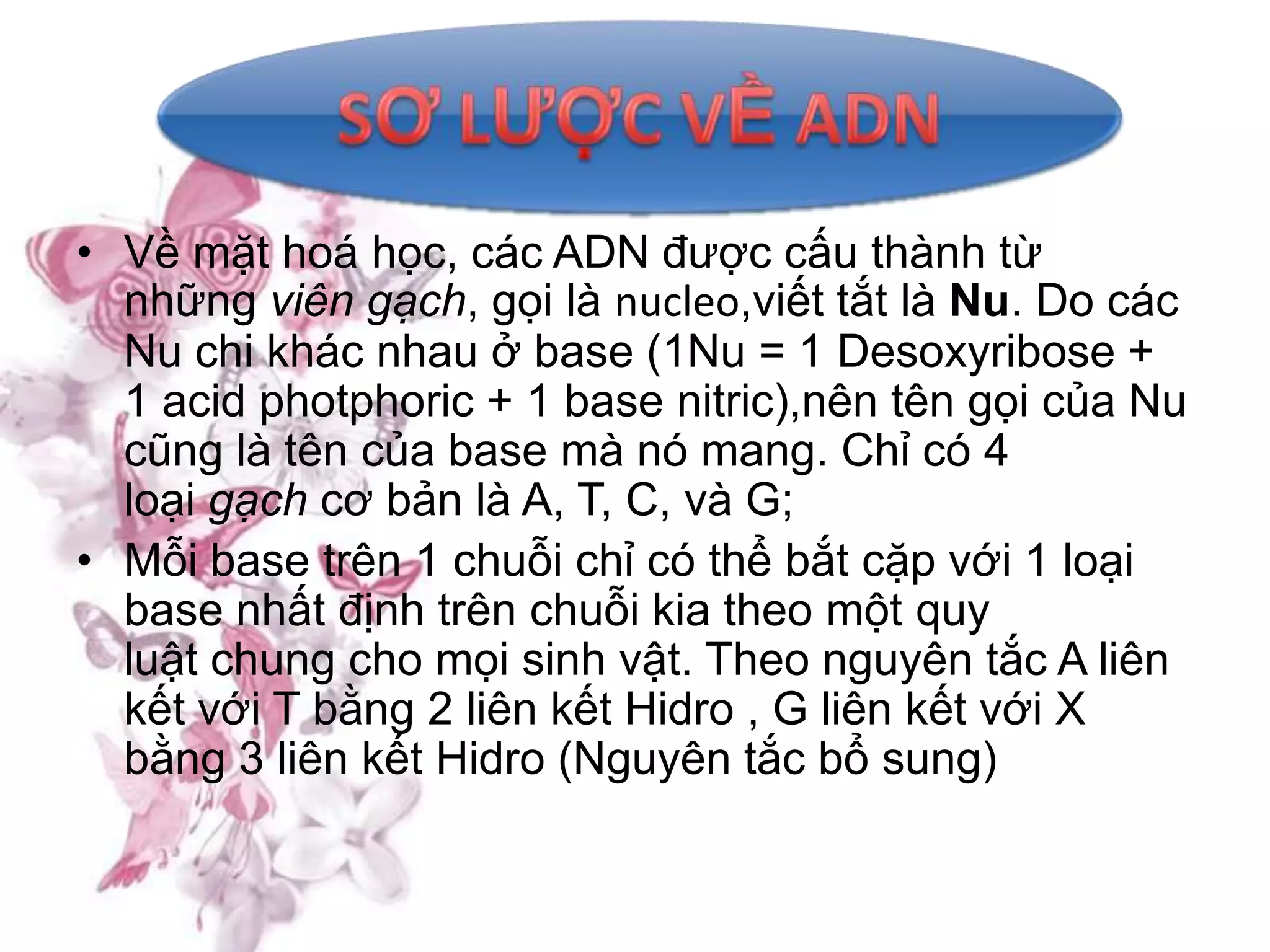 • Về mặt hoá học, các ADN được cấu thành từ
  những viên gạch, gọi là nucleo,viết tắt là Nu. Do các
  Nu chi khác nhau ở base (1Nu = 1 Desoxyribose +
  1 acid photphoric + 1 base nitric),nên tên gọi của Nu
  cũng là tên của base mà nó mang. Chỉ có 4
  loại gạch cơ bản là A, T, C, và G;
• Mỗi base trên 1 chuỗi chỉ có thể bắt cặp với 1 loại
  base nhất định trên chuỗi kia theo một quy
  luật chung cho mọi sinh vật. Theo nguyên tắc A liên
  kết với T bằng 2 liên kết Hidro , G liên kết với X
  bằng 3 liên kết Hidro (Nguyên tắc bổ sung)
 