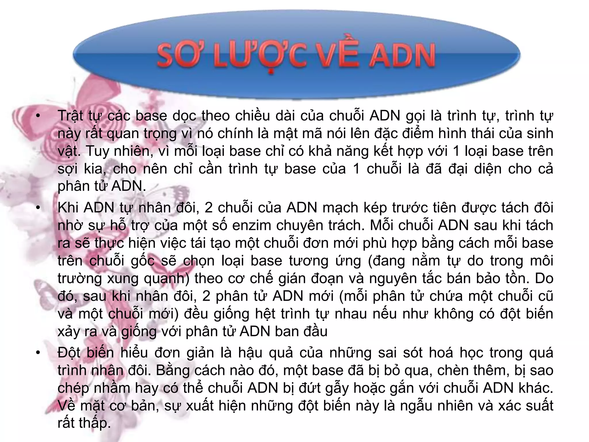 •   Trật tự các base dọc theo chiều dài của chuỗi ADN gọi là trình tự, trình tự
    này rất quan trọng vì nó chính là mật mã nói lên đặc điểm hình thái của sinh
    vật. Tuy nhiên, vì mỗi loại base chỉ có khả năng kết hợp với 1 loại base trên
    sợi kia, cho nên chỉ cần trình tự base của 1 chuỗi là đã đại diện cho cả
    phân tử ADN.
•   Khi ADN tự nhân đôi, 2 chuỗi của ADN mạch kép trước tiên được tách đôi
    nhờ sự hỗ trợ của một số enzim chuyên trách. Mỗi chuỗi ADN sau khi tách
    ra sẽ thực hiện việc tái tạo một chuỗi đơn mới phù hợp bằng cách mỗi base
    trên chuỗi gốc sẽ chọn loại base tương ứng (đang nằm tự do trong môi
    trường xung quanh) theo cơ chế gián đoạn và nguyên tắc bán bảo tồn. Do
    đó, sau khi nhân đôi, 2 phân tử ADN mới (mỗi phân tử chứa một chuỗi cũ
    và một chuỗi mới) đều giống hệt trình tự nhau nếu như không có đột biến
    xảy ra và giống với phân tử ADN ban đầu
•   Đột biến hiểu đơn giản là hậu quả của những sai sót hoá học trong quá
    trình nhân đôi. Bằng cách nào đó, một base đã bị bỏ qua, chèn thêm, bị sao
    chép nhầm hay có thể chuỗi ADN bị đứt gẫy hoặc gắn với chuỗi ADN khác.
    Về mặt cơ bản, sự xuất hiện những đột biến này là ngẫu nhiên và xác suất
    rất thấp.
 