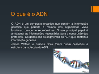O que é o ADN
O ADN é um composto orgânico que contém a informação
genética que permite à maioria dos organismos vivos
funcionar, crescer e reproduzir-se. O seu principal papel é
armazenar as informações necessárias para a construção das
proteínas. Os genes são os segmentos do ADN que contém a
informação genética.
James Watson e Francis Crick foram quem descobriu a
estrutura da molécula do ADN.
 