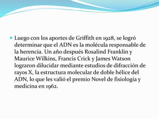  Luego con los aportes de Griffith en 1928, se logró
determinar que el ADN es la molécula responsable de
la herencia. Un año después Rosalind Franklin y
Maurice Wilkins, Francis Crick y James Watson
lograron dilucidar mediante estudios de difracción de
rayos X, la estructura molecular de doble hélice del
ADN, lo que les valió el premio Novel de fisiología y
medicina en 1962.
 