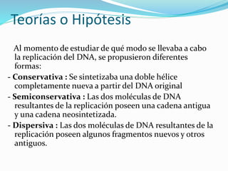 Teorías o Hipótesis
Al momento de estudiar de qué modo se llevaba a cabo
la replicación del DNA, se propusieron diferentes
formas:
- Conservativa : Se sintetizaba una doble hélice
completamente nueva a partir del DNA original
- Semiconservativa : Las dos moléculas de DNA
resultantes de la replicación poseen una cadena antigua
y una cadena neosintetizada.
- Dispersiva : Las dos moléculas de DNA resultantes de la
replicación poseen algunos fragmentos nuevos y otros
antiguos.
 