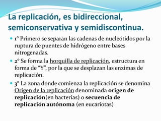 La replicación, es bidireccional,
semiconservativa y semidiscontinua.
 1° Primero se separan las cadenas de nucleótidos por la
ruptura de puentes de hidrógeno entre bases
nitrogenadas.
 2° Se forma la horquilla de replicación, estructura en
forma de “Y”, por la que se desplazan las enzimas de
replicación.
 3° La zona donde comienza la replicación se denomina
Origen de la replicación denominada origen de
replicación(en bacterias) o secuencia de
replicación autónoma (en eucariotas)
 