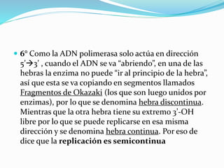  6° Como la ADN polimerasa solo actúa en dirección
5’3’ , cuando el ADN se va “abriendo”, en una de las
hebras la enzima no puede “ir al principio de la hebra”,
así que esta se va copiando en segmentos llamados
Fragmentos de Okazaki (los que son luego unidos por
enzimas), por lo que se denomina hebra discontinua.
Mientras que la otra hebra tiene su extremo 3’-OH
libre por lo que se puede replicarse en esa misma
dirección y se denomina hebra continua. Por eso de
dice que la replicación es semicontinua
 
