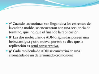  7° Cuando las enzimas van llegando a los extremos de
la cadena molde, se encuentran con una secuencia de
termino, que indique el final de la replicación.
 8° Las dos moléculas de ADN originadas poseen una
hebra antigua y otra nueva, por eso se dice que la
replicación es semi conservativa.
 9° Cada molécula de ADN se convertirá en una
cromátida de un determinado cromosoma
 