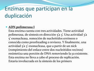 Enzimas que participan en la
duplicación
 ADN polimerasa I
Esta enzima cuenta con tres actividades. Tiene actividad
polimerasa, de síntesis en dirección 5’a 3’. Una actividad 3’a
5’ exonucleasa, remoción de nucleótidos erróneos o
conocida como proofreading o revisora. Y finalmente, una
actividad 5’a 3’ exonucleasa, que a partir de un nick
(rompimiento del enlace entre dos nucleótidos vecinos)
resintetiza una porción de DNA removiendo la ya existente.
Esta enzima no lleva a cabo el proceso de replicación.
Estaría involucrada en la síntesis de los primers
 