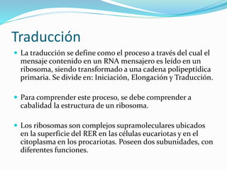 Traducción
 La traducción se define como el proceso a través del cual el
mensaje contenido en un RNA mensajero es leído en un
ribosoma, siendo transformado a una cadena polipeptídica
primaria. Se divide en: Iniciación, Elongación y Traducción.
 Para comprender este proceso, se debe comprender a
cabalidad la estructura de un ribosoma.
 Los ribosomas son complejos supramoleculares ubicados
en la superficie del RER en las células eucariotas y en el
citoplasma en los procariotas. Poseen dos subunidades, con
diferentes funciones.
 