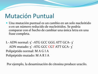 Mutación Puntual
 Una mutación puntual es un cambio en un solo nucleótido
o en un número reducido de nucleótidos. Se podría
comparar con el hecho de cambiar una única letra en una
frase completa.
I.- ADN normal: 5’ -ATG GCC GGG ATT GCA- 3’
ADN mutado: 5’ -ATG GCC CGT ATT GCA- 3’
Polipéptido normal: M A G I A
Polipéptido mutado: M A R I A
Por ejemplo, la desaminación de citosina produce uracilo.
 