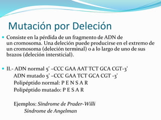 Mutación por Deleción
 Consiste en la pérdida de un fragmento de ADN de
un cromosoma. Una deleción puede producirse en el extremo de
un cromosoma (deleción terminal) o a lo largo de uno de sus
brazos (deleción intersticial).
 II.- ADN normal 5’ –CCC GAA AAT TCT GCA CGT-3’
ADN mutado 5’ –CCC GAA TCT GCA CGT -3’
Polipéptido normal: P E N S A R
Polipéptido mutado: P E S A R
Ejemplos: Síndrome de Prader-Willi
Síndrome de Angelman
 