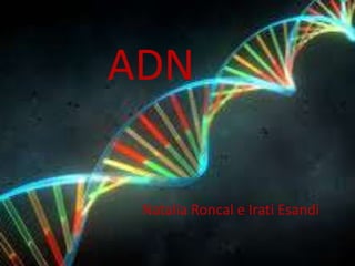 ADN 
Natalia Roncal e Irati Esandi 
 