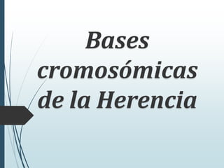 Bases
cromosómicas
de la Herencia
 