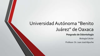 Universidad Autónoma “Benito
Juárez” de Oaxaca
Posgrado de Odontología
Biología Celular
Profesor: Dr. Juan José Alpuche
 