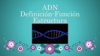 ADN
Definición-Función
Estructura
 
