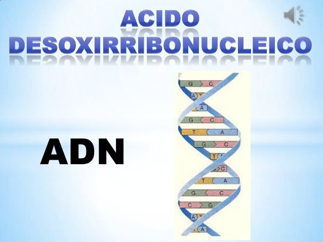 Adn 1copi a