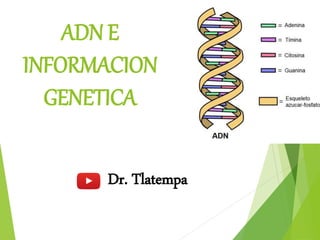 ADN E
INFORMACION
GENETICA
Dr. Tlatempa
 