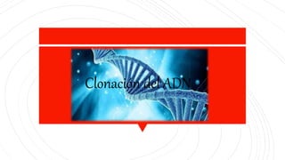 Clonación del ADN
 