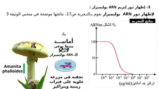 3
‫إ‬ -
‫إنزيم‬ ‫دور‬ ‫ظهار‬
ARN
‫بوليميراز‬
:
‫دور‬ ‫إلظهار‬
ARN
‫بوليميراز‬
‫نقوم‬
‫ب‬
‫ـال‬
‫ت‬
‫ـ‬
‫جرب‬
‫ة‬
‫ص‬
17
‫نتائج‬ ،
‫ها‬
‫الوثيقة‬ ‫منحني‬ ‫في‬ ‫موضحة‬
3
‫ص‬
17
.
Amanita
phalloides

‫أمانيـــت‬
‫يــن‬
‫نوعي‬ ‫مثبط‬
‫إلنزيم‬
‫الـ‬
ARN
‫بوليميراز‬
‫مزرعة‬ ‫في‬ ‫نحقنه‬
‫فترات‬ ‫على‬ ‫خلوية‬
‫وبتراكيز‬ ‫زمنية‬
‫التجربة‬ ‫نتائج‬
 