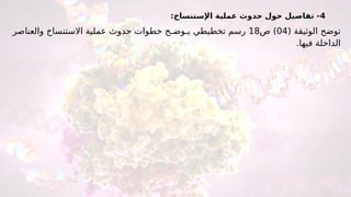 4
:‫اإلستنساخ‬ ‫عملية‬ ‫حدوث‬ ‫حول‬ ‫تفاصيل‬ -
( ‫الوثيقة‬ ‫توضح‬
04
‫ص‬ )
18
‫تخطيطي‬ ‫رسم‬
‫يـ‬
‫وض‬
‫ـ‬
‫والعناصر‬ ‫االستنساخ‬ ‫عملية‬ ‫حدوث‬ ‫خطوات‬ ‫ح‬
‫فيها‬ ‫الداخلة‬
.
 