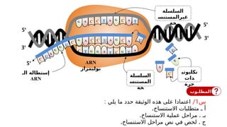 ‫س‬
1
/
: ‫يلي‬ ‫ما‬ ‫حدد‬ ‫الوثيقة‬ ‫هذه‬ ‫على‬ ‫اعتمادا‬
.‫االستنساخ‬ ‫متطلبات‬ ‫ـ‬ ‫أ‬
. .
‫االستنساخ‬ ‫عملية‬ ‫مراحل‬ ‫بـ‬
. .
‫االستنساخ‬ ‫مراحل‬ ‫نص‬ ‫في‬ ‫لخص‬ ‫ج‬
‫السلسلة‬
‫غيرالمستنس‬
‫خة‬
‫السلسلة‬
‫المستنس‬
‫خة‬
‫الـ‬ ‫إستطالة‬
ARN
U
‫نكليوتي‬
‫دات‬
‫حرة‬
ARN
‫بوليمراز‬
G
C
A
U
G
G
A
U A
C
G
C A
A
A
T
A
C
A
T
C
G
C
A
C C
T T
T
G
G
G G
G A C
U
U
U
C
C
‘
5
‘
3
‘
5
‘
3
‘
5
‫المطلـوب‬
 
