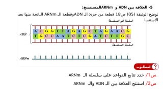 5
‫بين‬ ‫العالقة‬ -
ADN
‫و‬
ARNm
:‫المستنسخ‬
( ‫الوثيقة‬ ‫توضح‬
05
‫ص‬ )
18
‫الـ‬ ‫جزئ‬ ‫من‬ ‫قطعة‬
ADN
‫الـ‬ ‫وقطعة‬
ARNm
‫بعد‬ ‫منها‬ ‫الناتجة‬
‫االستنساخ‬
‫س‬
1
/
‫الـ‬ ‫سلسلة‬ ‫على‬ ‫القواعد‬ ‫تتابع‬ ‫حدد‬
ARNm
‫س‬
2
/
‫الـ‬ ‫بين‬ ‫العالقة‬ ‫استنتج‬
ADN
‫والـ‬
ARNm
‫المطلـوب‬
 