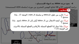 6
-
‫جزيئة‬ ‫نضج‬
ARNm
‫اإلستنساخ‬ ‫انتهاء‬ ‫بعد‬
:
‫الوثيقتين‬ ‫دراسة‬
07
‫و‬
08
‫(سلسلة‬ ‫مورثة‬ ‫بين‬ ‫المخبري‬ ‫التهجين‬ ‫لنتائج‬
ADN
)‫المستنسخة‬
‫و‬
ARNm
.‫منها‬ ‫الناتج‬
‫بالمجهر‬ ‫صورة‬
‫اإللكتروني‬
‫رسم‬
‫تخطيطي‬
‫المطلـوب‬
‫س‬
1
/
‫الـ‬ ‫طول‬ ‫بين‬ ‫قارن‬
ARNm
‫الـ‬ ‫سلسلة‬ ‫و‬
ADN
(
‫الوثيقة‬
7
. )
‫ماذا‬
‫؟‬ ‫تستنتج‬
‫س‬
2
/
‫الـ‬ ‫من‬ ‫االنتقال‬ ‫كيفية‬ ‫بين‬
ARNm
‫الـ‬ ‫إلى‬ ‫أولي‬
ARNm
.
‫ماذا‬ ‫ناضج‬
‫؟‬ ‫تستنتج‬
‫س‬
3
/
‫باألحرف‬ ‫الممثلة‬ ‫القطع‬ ‫و‬ ‫باألرقام‬ ‫الممثلة‬ ‫القطع‬ ‫إذا‬ ‫تمثل‬ ‫ماذا‬
( ‫الوثيقة‬ ‫في‬
7
)
‫؟‬
 