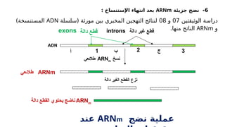 6
-
‫جزيئة‬ ‫نضج‬
ARNm
‫اإلستنساخ‬ ‫انتهاء‬ ‫بعد‬
:
‫الوثيقتين‬ ‫دراسة‬
07
‫و‬
08
‫(سلسلة‬ ‫مورثة‬ ‫بين‬ ‫المخبري‬ ‫التهجين‬ ‫لنتائج‬
ADN
)‫المستنسخة‬
‫و‬
ARNm
.‫منها‬ ‫الناتج‬
ADN
ARNm
‫طالئعي‬
‫دالة‬ ‫غير‬ ‫قطع‬
‫دالة‬ ‫قطع‬
‫نسخ‬
ARNm
‫طالئعي‬
‫دالة‬ ‫الغير‬ ‫القطع‬ ‫نزع‬
ARNm
‫دالة‬ ‫القطع‬ ‫يحتوي‬ ‫ناضج‬
‫نضج‬ ‫عملية‬
ARNm
‫عند‬
exons introns
‫أ‬ ‫ب‬ ‫ج‬
1 2 3
 