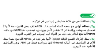 ‫ج‬
1
/
ARNm
‫من‬ ‫أقصر‬
ADN
.‫تركيبه‬ ‫في‬ ‫تغير‬ ‫إلى‬ ‫يشير‬ ‫مما‬
‫ج‬
2
/
ARNm
‫ـي‬
‫ل‬‫أو‬
‫الـ‬ ‫لسلسلة‬ ‫كاملة‬ ‫نسخة‬ ‫هو‬
ADN
‫منه‬ ‫االجزاء‬ ‫بعض‬ ‫تحذف‬
‫أل‬
‫ال‬ ‫نها‬
‫ة‬ ‫وراثي‬ ‫معلومات‬ ‫ل‬ ‫تحم‬
‫اي‬
‫ر‬ ‫تشف‬ ‫ال‬
‫ي‬ ‫أل‬
‫ى‬ ‫فيدع‬ ،‫ن‬ ‫بروتي‬
ARNm
‫ج‬ ‫النات‬
‫بالـــ‬
ARNm
‫الناضج‬
.‫النووية‬ ‫الثقوب‬ ‫عبر‬ ‫الهيولى‬ ‫الى‬ ‫النواة‬ ‫من‬ ‫ذلك‬ ‫بعد‬ ‫ليغادر‬
‫ج‬
3
/
‫الدالة‬ ‫القطع‬ ‫األرقام‬ ‫ل‬‫تمث‬
(
exons
)
‫في‬ ‫متواجدة‬ ‫ا‬‫ألنه‬
ARNm
‫تمثل‬ ‫ا‬‫بينم‬ ‫ج‬‫الناض‬
( ‫ة‬‫الدال‬ ‫ر‬‫غي‬ ‫ق‬‫المناط‬ ‫األحرف‬
introns
)
‫ي‬‫ف‬ ‫ط‬‫فق‬ ‫متواجدة‬ ‫ا‬‫ألنه‬
ADN
‫ق‬‫المناط‬ ‫ي‬‫وه‬
‫التهجين‬ ‫عند‬ ‫األحادية‬
.
‫الحــــــــل‬
 