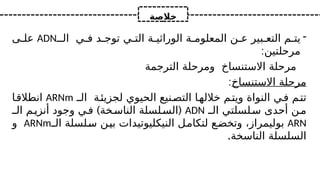 ‫خالصة‬
-
‫الـ‬ ‫ي‬ ‫ف‬ ‫د‬ ‫توج‬ ‫ي‬ ‫الت‬ ‫ة‬ ‫الوراثي‬ ‫ة‬ ‫المعلوم‬ ‫ن‬ ‫ع‬ ‫بير‬ ‫التع‬ ‫م‬ ‫يت‬
ADN
‫ى‬ ‫عل‬
:‫مرحلتين‬
‫الترجمة‬ ‫ومرحلة‬ ‫االستنساخ‬ ‫مرحلة‬
‫االستنساخ‬ ‫مرحلة‬
:
‫الـ‬ ‫ة‬‫لجزيئ‬ ‫الحيوي‬ ‫نيع‬‫التص‬ ‫ا‬‫خالله‬ ‫م‬‫ويت‬ ‫النواة‬ ‫ي‬‫ف‬ ‫م‬‫تت‬
ARNm
‫انطالقا‬
‫ا‬ ‫لسلتي‬‫س‬ ‫أحدى‬ ‫ن‬‫م‬
‫ل‬
‫ـ‬
ADN
) (
‫الـ‬ ‫م‬‫أنزي‬ ‫وجود‬ ‫ي‬‫ف‬ ‫خة‬‫الناس‬ ‫لسلة‬‫الس‬
ARN
‫الـ‬ ‫سلسلة‬ ‫بين‬ ‫النيكليوتيدات‬ ‫لتكامل‬ ‫وتخضع‬ ،‫بوليمراز‬
ARNm
‫و‬
.‫الناسخة‬ ‫السلسلة‬
 