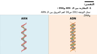 :‫التقصي‬
1
‫الـ‬ ‫بين‬ ‫المقارنة‬ -
ARN
‫و‬
DNA
:
( ‫الوثيقة‬ ‫تمثل‬
01
‫ص‬ )
16
‫الـ‬ ‫بين‬ ‫الفروق‬ ‫اهم‬
ARN
‫و‬
DNA
.
 