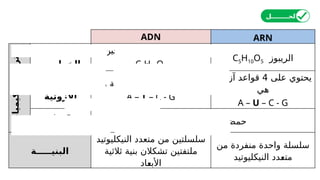 ‫الحــــــــل‬
ADN ARN
‫الكيميائي‬
‫التركيب‬
‫السكر‬ ‫نوع‬
‫الخماسي‬
‫األوكسجين‬ ‫منقوص‬ ‫الريبوز‬
C5H10O4
‫الريبوز‬
C5H10O5
‫القواعد‬ ‫نوع‬
‫األزوتية‬
‫على‬ ‫يحتوي‬
4
‫هي‬ ‫آزوتية‬ ‫قواعد‬
A – T – C - G
‫على‬ ‫يحتوي‬
4
‫آزوتية‬ ‫قواعد‬
‫هي‬
A – U – C - G
‫حمض‬
‫الفوسفور‬
‫الفوسفور‬ ‫حمض‬
H3PO4
‫البنيـــــة‬
‫النيكليوتيد‬ ‫متعدد‬ ‫من‬ ‫سلسلتين‬
‫ثالثية‬ ‫بنية‬ ‫تشكالن‬ ‫ملتفتين‬
‫األبعاد‬
‫منفردة‬ ‫واحدة‬ ‫سلسلة‬
‫من‬
‫النيكليوتيد‬ ‫متعدد‬
 