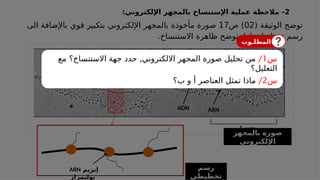 2
-
‫اإللكتروني‬ ‫بالمجهر‬ ‫اإلستنساخ‬ ‫عملية‬ ‫مالحظة‬
:
( ‫الوثيقة‬ ‫توضح‬
02
‫ص‬ )
17
‫الى‬ ‫باإلضافة‬ ‫قوي‬ ‫بتكبير‬ ‫اإللكتروني‬ ‫بالمجهر‬ ‫مأخوذة‬ ‫صورة‬
.‫االستنساخ‬ ‫ظاهرة‬ ‫توضح‬ ‫لها‬ ‫تخطيطي‬ ‫رسم‬
‫بالمجهر‬ ‫صورة‬
‫اإللكتروني‬
‫مورثة‬
01
‫مورثة‬
02
‫غير‬ ‫منطقة‬
‫مستنسخة‬
ADN ARN
‫رسم‬
‫تخطيطي‬
‫إنزيم‬
ARN
‫بوليمراز‬
‫المطلـوب‬
‫س‬
1
/
,
‫مع‬ ‫االستنساخ؟‬ ‫جهة‬ ‫حدد‬ ‫االلكتروني‬ ‫المجهر‬ ‫صورة‬ ‫تحليل‬ ‫من‬
‫التعليل؟‬
‫س‬
2
/
‫ب؟‬ ‫و‬ ‫أ‬ ‫العناصر‬ ‫تمثل‬ ‫ماذا‬
 