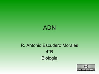 ADN R. Antonio Escudero Morales 4°B Biología 