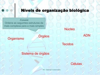 Níveis de organização biológica

            Exercício
Ordene as seguintes estruturas da
mais complexa para a mais simples
                                                             Núcleo

                            Órgãos                                         ADN
  Organismo
                                                            Tecidos

              Sistema de órgãos


                                                                 Células
                                NG - Saberes Fundamentais
 