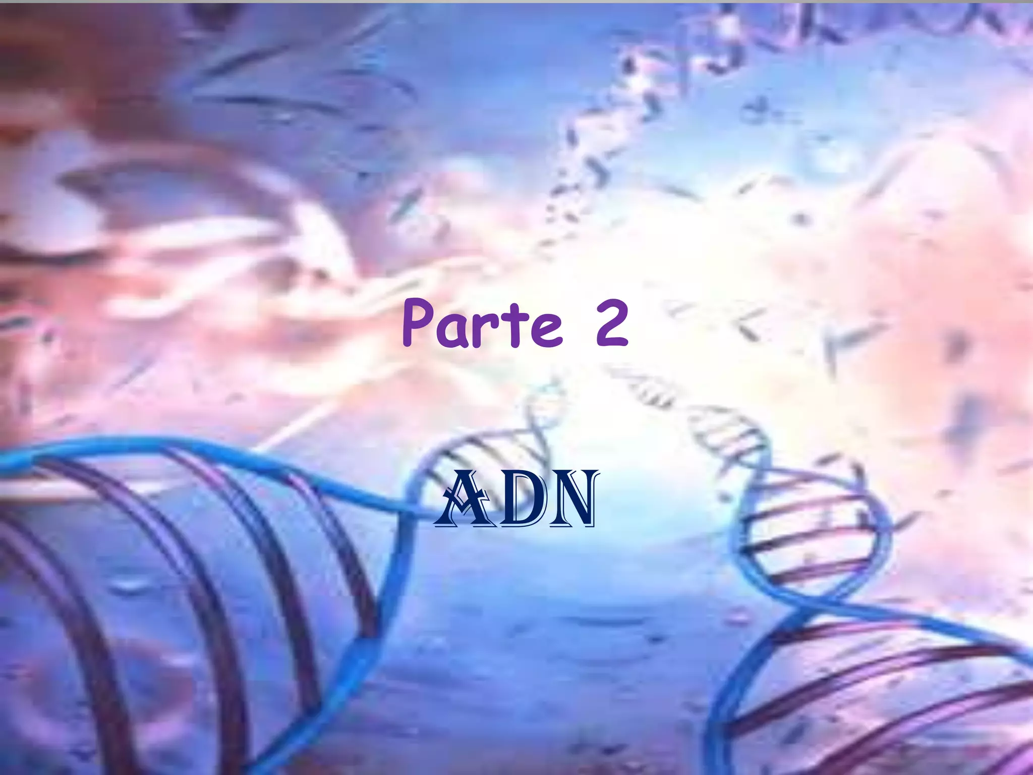 Parte 2
ADN