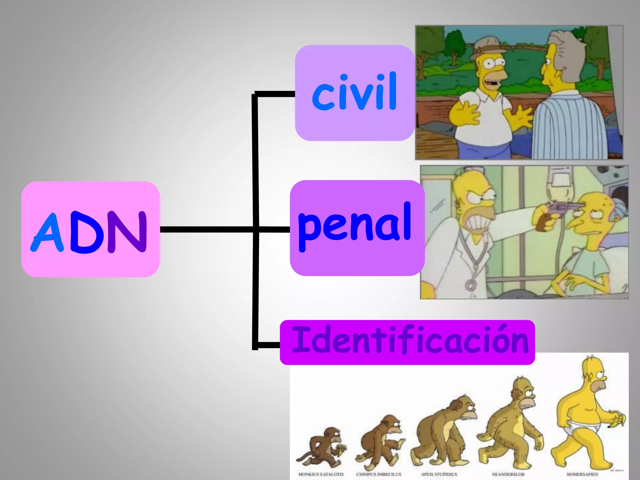 ADN
Identificación
civil
penal