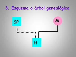 3. Esquema o árbol genealógico
M
H
SP
 