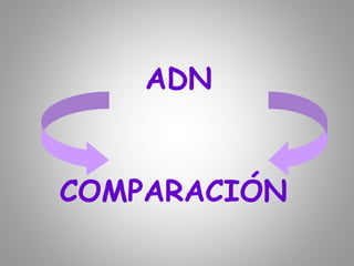 COMPARACIÓN
ADN
 