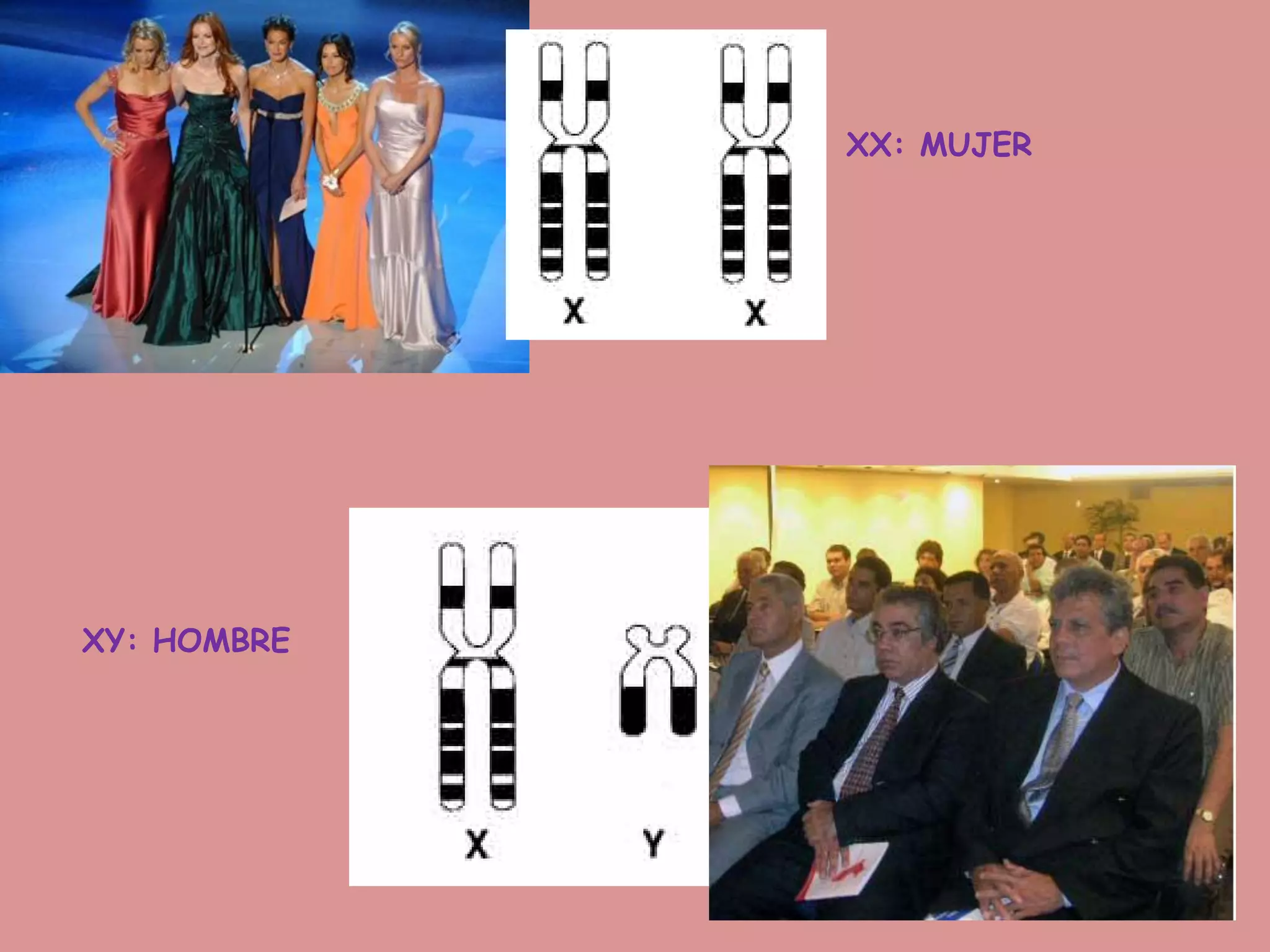 XX: MUJER
XY: HOMBRE