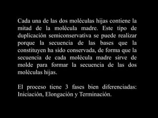 Cada una de las dos moléculas hijas contiene la
mitad de la molécula madre. Este tipo de
duplicación semiconservativa se puede realizar
porque la secuencia de las bases que la
constituyen ha sido conservada, de forma que la
secuencia de cada molécula madre sirve de
molde para formar la secuencia de las dos
moléculas hijas.
El proceso tiene 3 fases bien diferenciadas:
Iniciación, Elongación y Terminación.
 