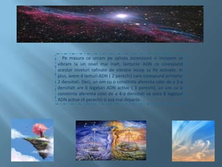     Pe masura ce urcam pe spirala ascensiunii si incepem sa vibram la un nivel mai inalt, lanturile ADN ce corespund acestor niveluri rafinate de vibratie incep sa fie activate. In plus, avem 4 lanturi ADN ( 2 perechi) care corespund primelor 2 densitati. Deci, un om cu o constiinta aferenta celei de a 3-a densitati are 6 legaturi ADN active ( 3 perechi), un om cu o constiinta aferenta celei de a 4-a densitati va avea 8 legaturi ADN active (4 perechi) si asa mai departe.