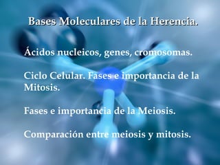 • Ácidos nucleicos, genes, cromosomas.
• Ácidos nucleicos, genes, cromosomas.
• Ciclo Celular. Fases e importancia de la Mitosis.
• Fases Ácidos nucleicos, genes, cromosomas.
• Ciclo Celular. Fases e importancia de la Mitosis.
• Fases e importancia de la Meiosis.
• Comparación entre meiosis y mitosis.
• Replicación del ADN.
• Síntesis de Proteínas.
• e importancia de la Meiosis.
• Comparación entre meiosis y mitosis.
• Replicación del ADN.
• Síntesis de Proteínas.
• Ciclo Celular. Fases e importancia de la Mitosis.
• Fases e importancia de la Meiosis.
• Comparación entre meiosis y mitosis.
• Replicación del ADN.
• Síntesis de Proteínas.
Bases Moleculares de la Herencia.Bases Moleculares de la Herencia.
Ácidos nucleicos, genes, cromosomas.
Ciclo Celular. Fases e importancia de la
Mitosis.
Fases e importancia de la Meiosis.
Comparación entre meiosis y mitosis.
 