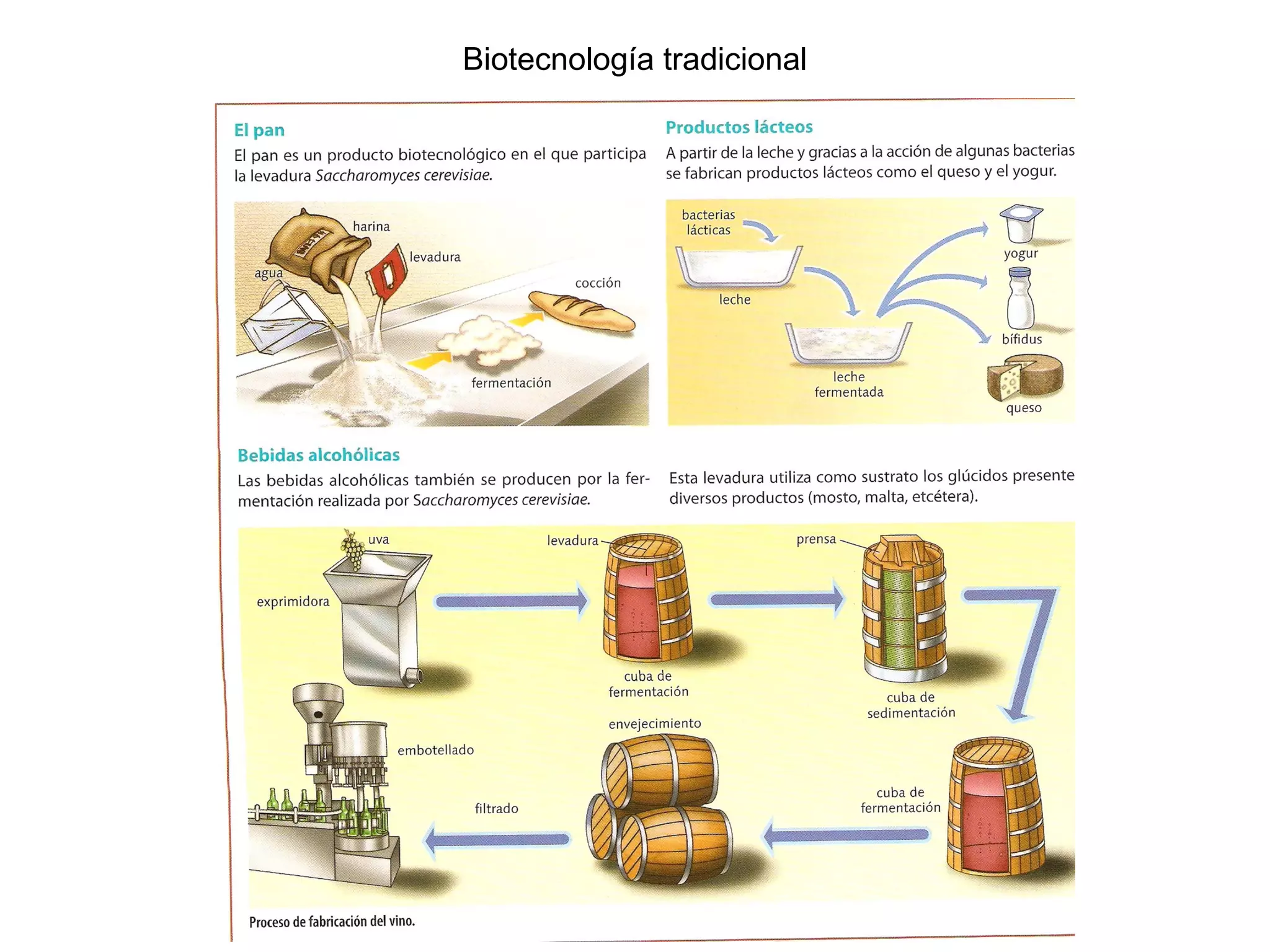 Biotecnología tradicional
 