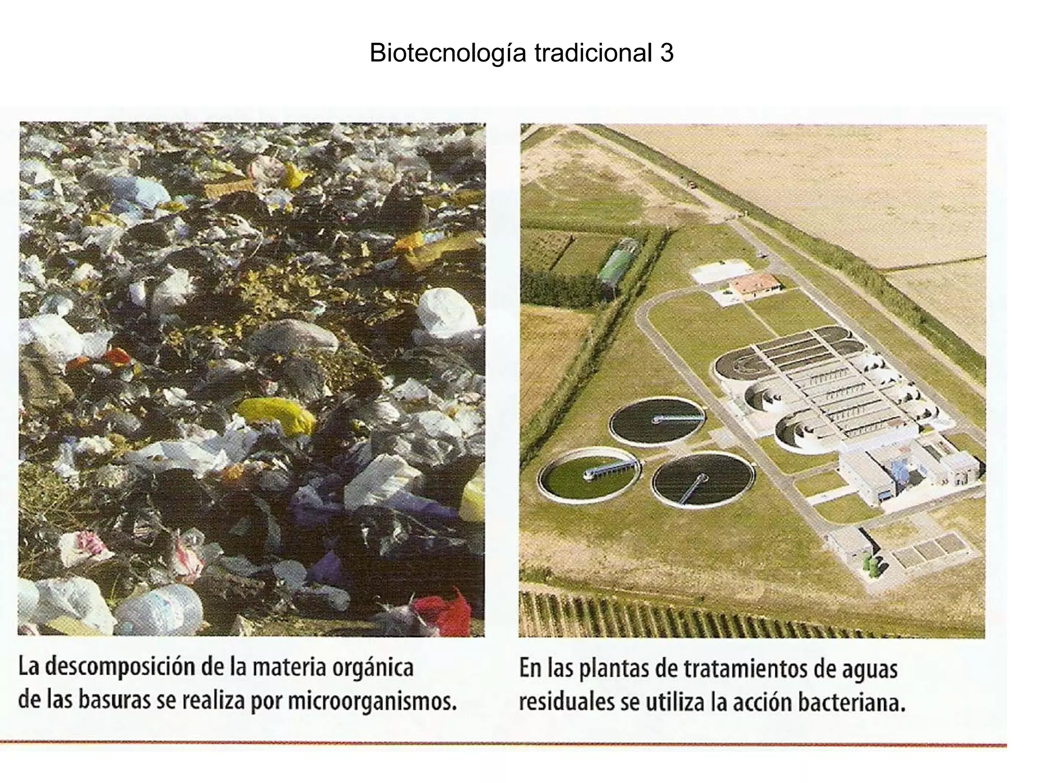 Biotecnología tradicional 3
 