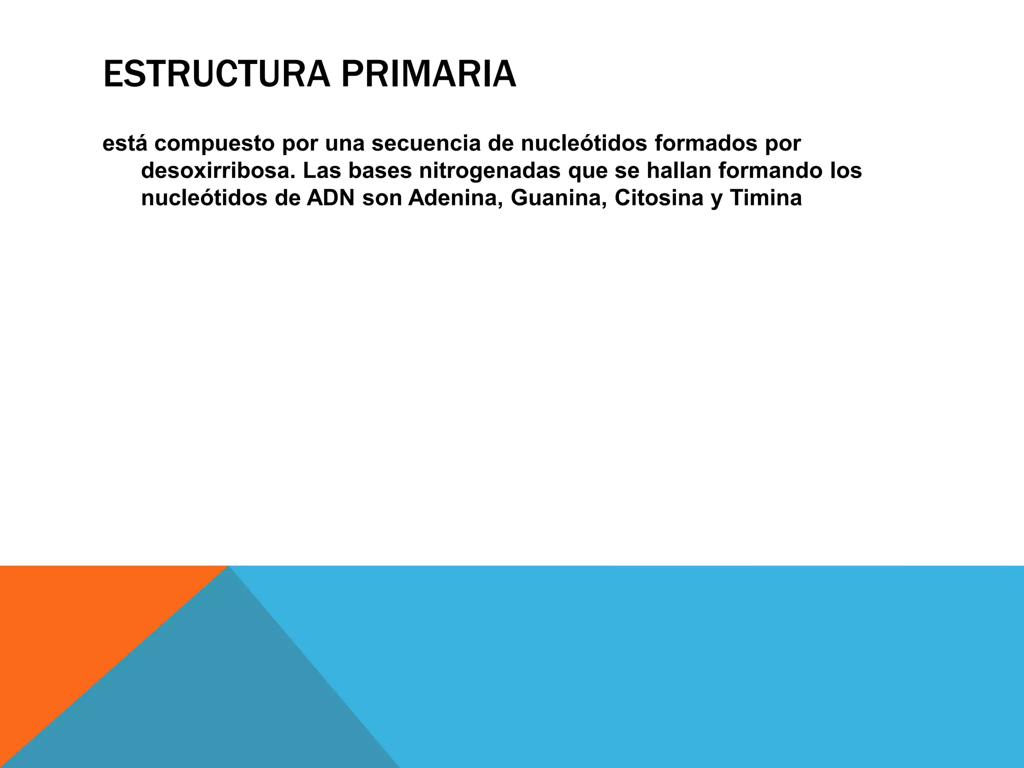 ESTRUCTURA PRIMARIA
está compuesto por una secuencia de nucleótidos formados por
desoxirribosa. Las bases nitrogenadas que se hallan formando los
nucleótidos de ADN son Adenina, Guanina, Citosina y Timina

 