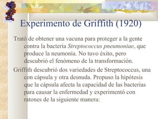 Experimento de Griffith (1920)
Trató de obtener una vacuna para proteger a la gente
contra la bacteria Streptococcus pneumoniae, que
produce la neumonía. No tuvo éxito, pero
descubrió el fenómeno de la transformación.
Griffith descubrió dos variedades de Streptococcus, una
con cápsula y otra desnuda. Propuso la hipótesis
que la cápsula afecta la capacidad de las bacterias
para causar la enfermedad y experimentó con
ratones de la siguiente manera:
 